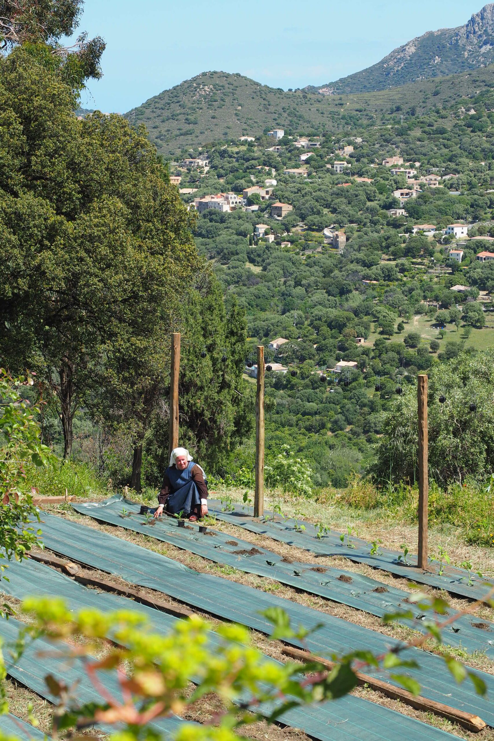marcassu potager